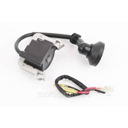 Катушка зажигания 1E36F, Тип 2