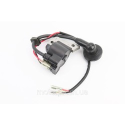 Катушка зажигания FS-768