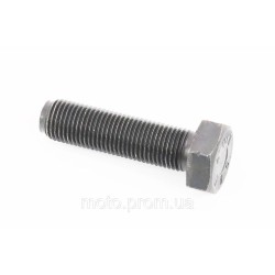 Болт М12x1,25x45 10.9 БП пр DIN961