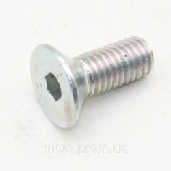 Болт М8*14 (торм. диска) KOVI 250-4Т (CB250 START) Болт М8*14 (торм. диска) KOVI 250-4Т (CB250 START)