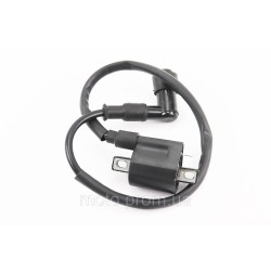 Катушка зажигания с насвечником ATV 250, тип 1