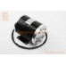 ATV дитячий ЕЛЕКТРО - Мотор ZY1020 - 36V 1000W 27.8A 3000об/хв