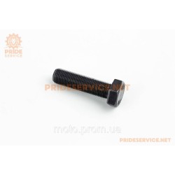 Болт М12х45х1,25 10,9 бп пр DIN961