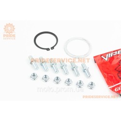Viper-V200-F2/V250-F2 Болт кріплення зірки задньої до демпфера 5шт+гайки+шайби к-кт 12 деталей Viper-V200-F2/V250-F2 Болт кріплення зірки задньої до демпфера 5шт+гайки+шайби к-кт 12 деталей