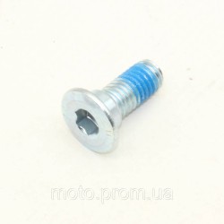 Болт гальмівного диска Fada Classi (FDEB 1NLA25-60)