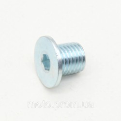 Болт зливного отвору олії 176FMN KOVI 300-4Т (ADT300)