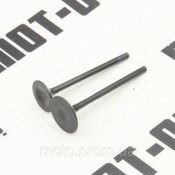 Клапана (впуск+выпуск) LF200-2E CityR Клапана (впуск+выпуск) LF200-2E CityR