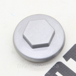 Крышка отверстия слива масла XY250GY-6C (СXR 250)