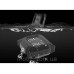 Датчик тиску в колесах з екраном TPMS PW-01