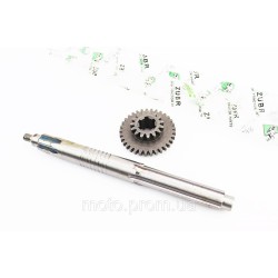 Вал КПП первичный 320mm+шестерня Z-15x33 81-1 Вал КПП первичный 320mm+шестерня Z-15x33 81-1