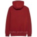 Толстовка FOX Hoodie - ABSOLUTE [Rust], M