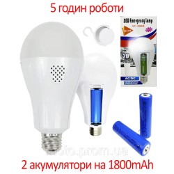 Лампа LED 20Вт з акумуляторами 2*1800mAh, до 5 годин автономної роботи (100)