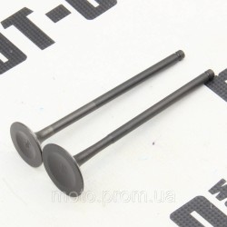 Клапана (впуск + випуск) LF250-10S (KPR 250) Клапана (впуск + випуск) LF250-10S (KPR 250)
