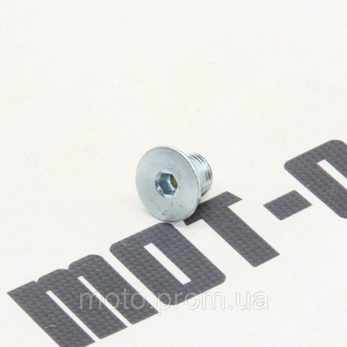 Болт зливного отвору олії M14*1.5*10 KOVI 250-4T (CRS 250)