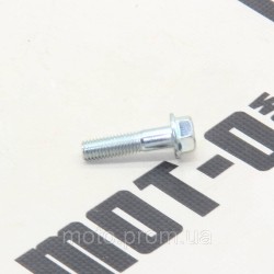 Болт передньої зірки KOVI 250-4T (CRS 250) Болт передньої зірки KOVI 250-4T (CRS 250)