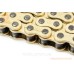 Цепь привода колеса 428Hx116L GOLD