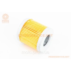 Фильтр топливный-элемент 53мм ZUBR R170/R195NM