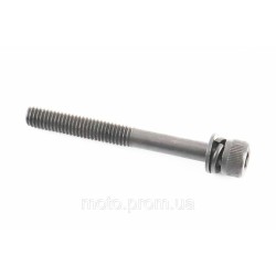 Болт кріплення глушника M6x55