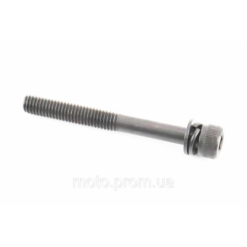 Болт кріплення глушника M6x55