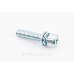 Болт M5x20 з шайбами