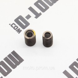 Пружина клапанів (впуск+випуск) ZS178MM-2 (NX250) Пружина клапанів (впуск+випуск) ZS178MM-2 (NX250)