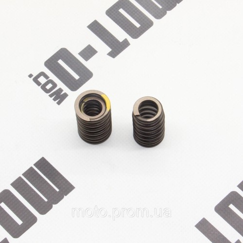 Пружина клапанів (впуск+випуск) ZS178MM-2 (NX250)