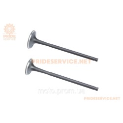 Shineray XY400GY-3 Клапана випускний (H-101,1; D-28,9), впускний (H-102,5; D-33) к-кт 2шт XY185YMQ Shineray XY400GY-3 Клапана випускний (H-101,1; D-28,9), впускний (H-102,5; D-33) к-кт 2шт XY185YMQ
