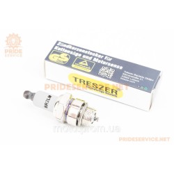 Свічка 4T BR2LM M14-L9,5 коси/газонокосарки