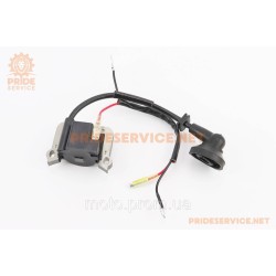 Катушка зажигания 1E36F, тип1